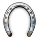 High Quality Horse Shoes